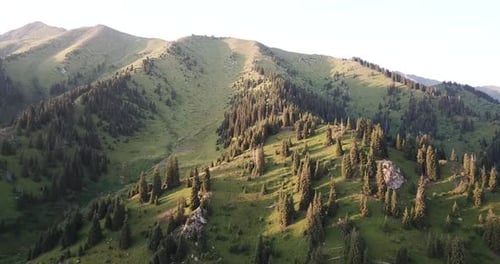 Views of Green Meadows