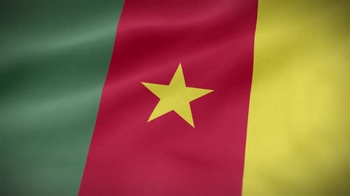 Waving Flag of Cameroon Realistic Animation