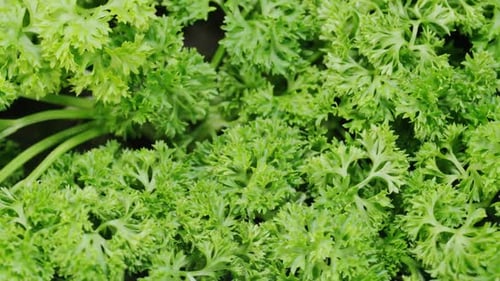 Parsley Macro