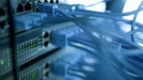 Closeup View of Modern Internet Network Switch with Plugged Ethernet Cables