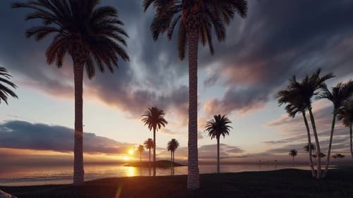 Sunset On The Palms Beach