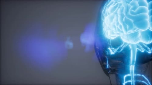 Glowing Human Brain and Nervous System with Neural Network Connections
