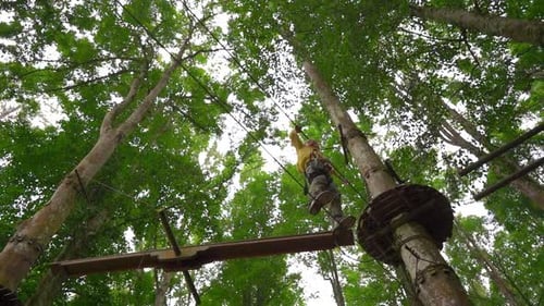 Slowmotion Shot of a Little Boy in a Safety Harness Climbs on a Route in Treetops in a Forest