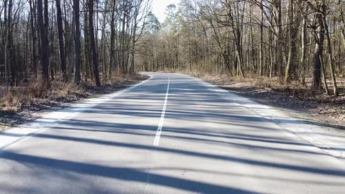 Estrada aérea rural na floresta à noite no crepúsculo