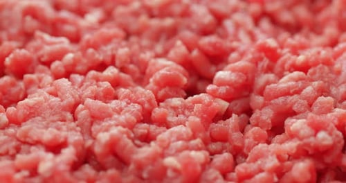 Raw fresh minced beef