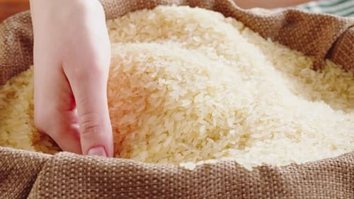 Rice Texture Closeup