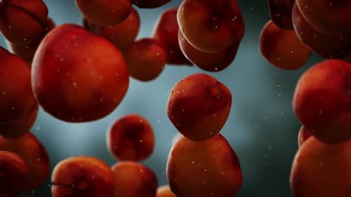 Falling Fresh Peaches with Water Droplets Seamless Loop Animation