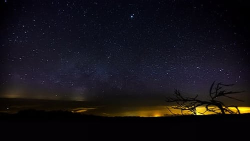 Bäume und Landschaft unter Milchstraße silhouettiert