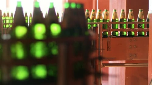Línea de producción automatizada con botellas de vidrio verde. Línea de envasado de cerveza y fábrica
