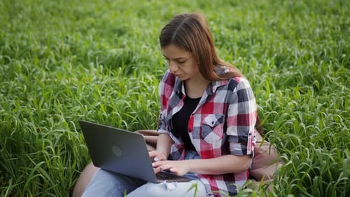 Woman Farmer Working at Laptop in Green Wheat Field Smart Modern Agronomist