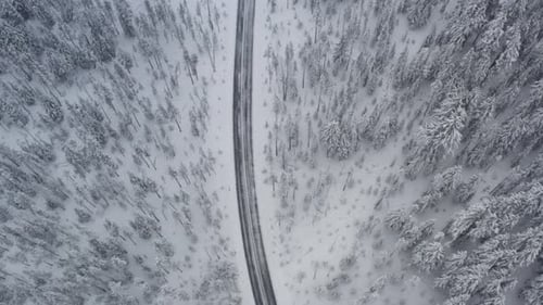 Aerial of an ice and snow covered road through a snow covered forest