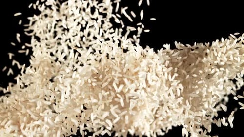 A Pile of Rice Rises Up and Falls Down