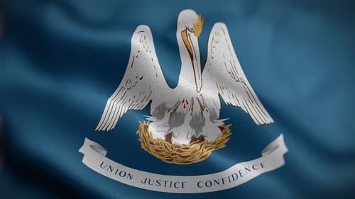 Waving Louisiana State Flag with Pelican Emblem Animation
