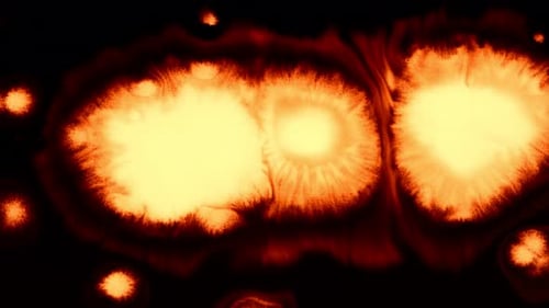 Glowing Ink Blooms Against Black Background