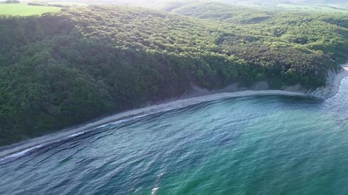 Beach Between a Ledge Covered with Vegetation and a Black Sea Under a Clear Blue Sky