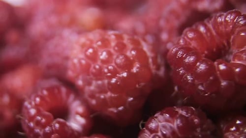 Raspberry fruit background. Close Up of raspberry
