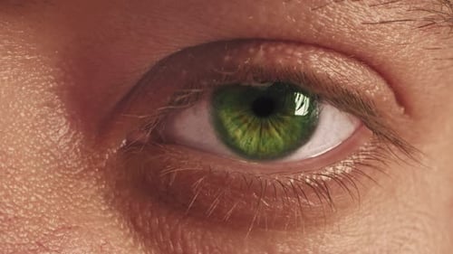 Extreme CloseUp Of A Green Eye