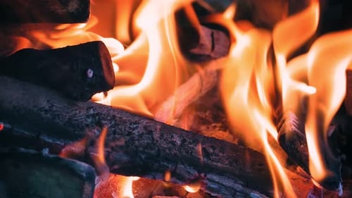 Camp Fire