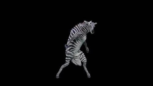 Animated Dancing Zebra Fun Character