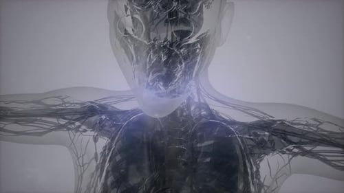 Escaneo de imágenes por resonancia magnética 3D