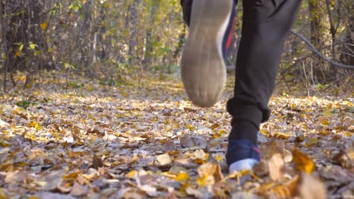 Legs of Strong Man Running at Forest Path Covered with Colored Foliage