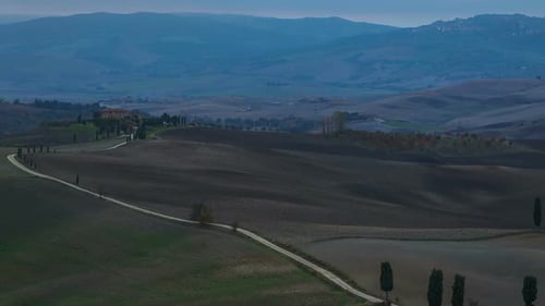 Establishing Shot of Tuscan Countryside Estate With Cypress Trees