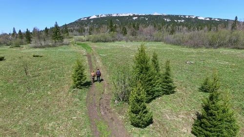 Aerial View of People Walking in Forest
