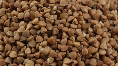 buckwheat. fresh buckwheat. dry buckwheat background. buckwheat texture