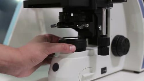 Doctor Works with a Microscope