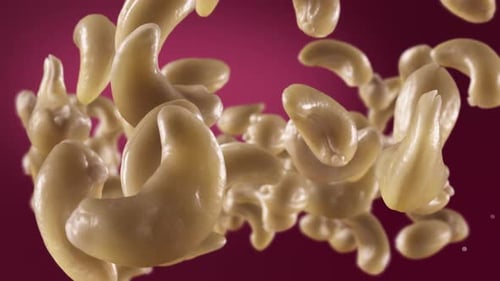 Close Up Of Fresh Cashew Nuts Falling