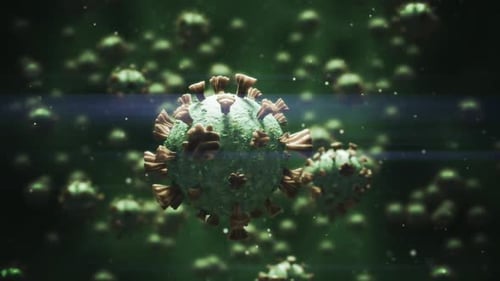 Animated 3D Virus Cells Flowing in a Microscopic Environment