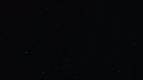 Organic Dust 59