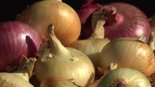 Onions