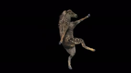 Dancing Spotted Deer Fawn 3D Animation