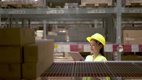 Asian woman warehouse worker doing stocktaking of products management in cardboard box on shelves
