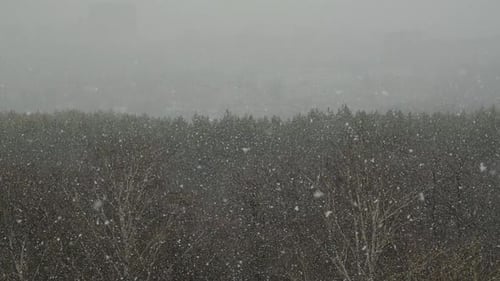 Snow Falls Over the City in Slow Motion