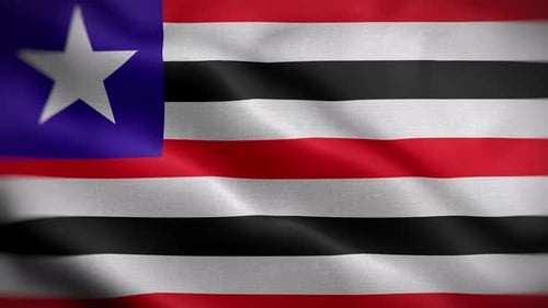 Realistic Fabric Flag Waving Motion Background