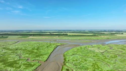 Beautiful high aerial shot of vibrant green wetlands with muddy rivers flowing alongside agricultura