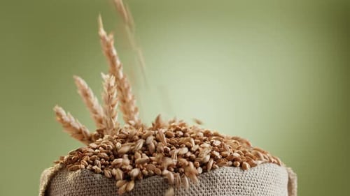 Closeup de grãos de malte