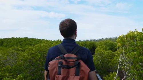 Traveler Man with Backpack Walking Among Green Treetops Adventure Tourism