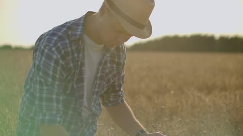 Farmer Using Tablet in Wheat Field