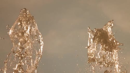 Water