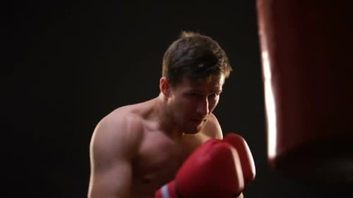 Boxer Training with Punching Bag Close Up