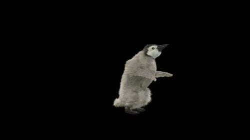 Penguin Dancing HD