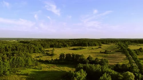 A estrada passa por campos e florestas.