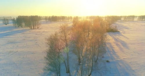 Aerial Drone View of Cold Winter Landscape with Arctic Field, Trees Covered with Frost Snow and