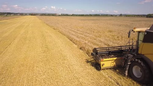 Luftaufnahme des Mähdreschers bei der Ernte eines großen reifen Weizenfeldes. Landwirtschaft aus Drohnensicht.
