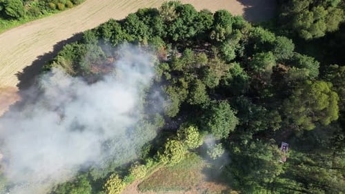 Smoke in Forest Fire