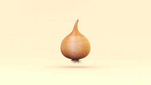 Realistic 3D Animated Onion Floating and Rotating