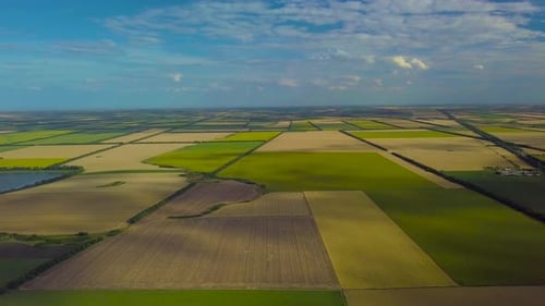 Aerial View of Green and Yellow Farmland